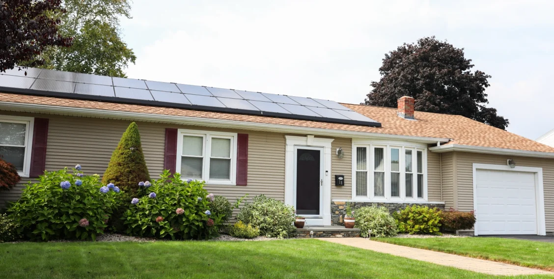 image – 2025-03-26T171943.433 image - 2025-03-26T171943.433